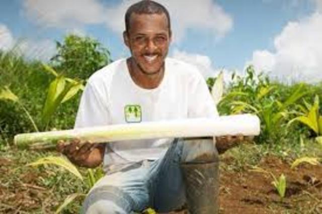 INICIO PROJETO PUPUNHA