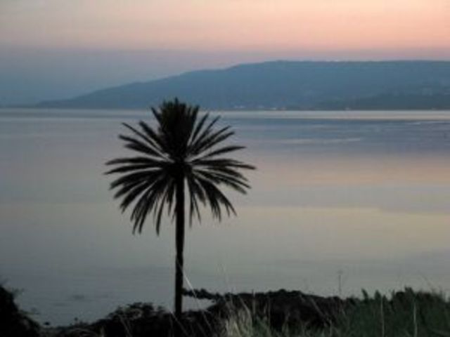 טיול משפחתי לכנרת