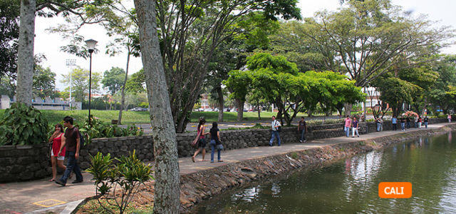 UNIVERSIDAD DE SAN BUENAVENTURA
