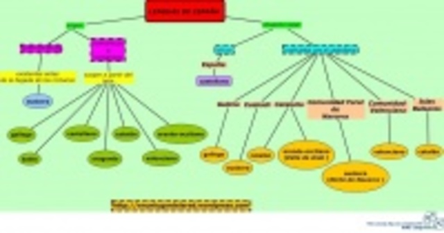 LENGUAS DERIVADAS DEL LATIN
