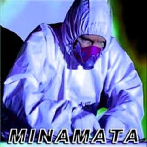 CONVENIO DE MINAMATA