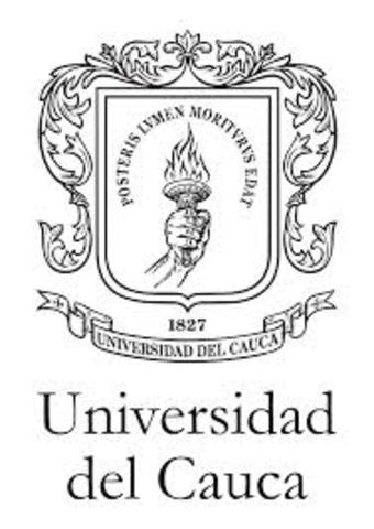 Universidad del cauca