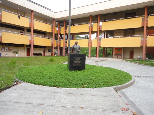 Aparición de la Universidad