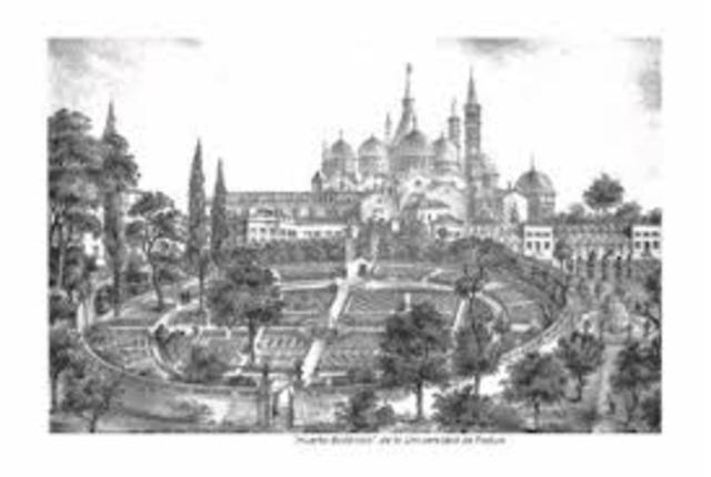 UNIVERSIDAD DE PADUA