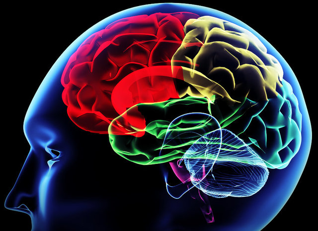 Origen y Naturaleza de las Universidades: Aporte de este tema a la Carrera que estudia (Psicología).