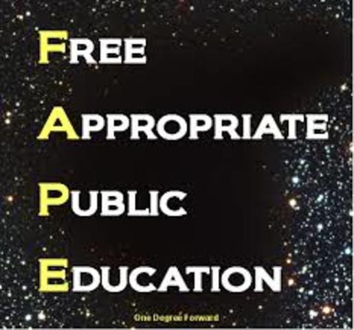Free Appropriate Public Education (FAPE)