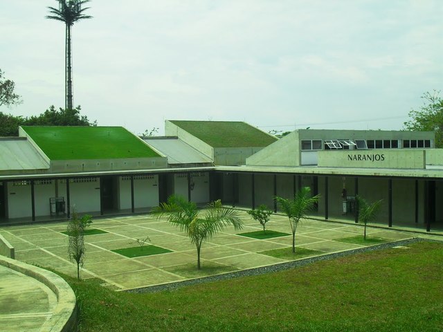 Contrucción de Los Naranjos