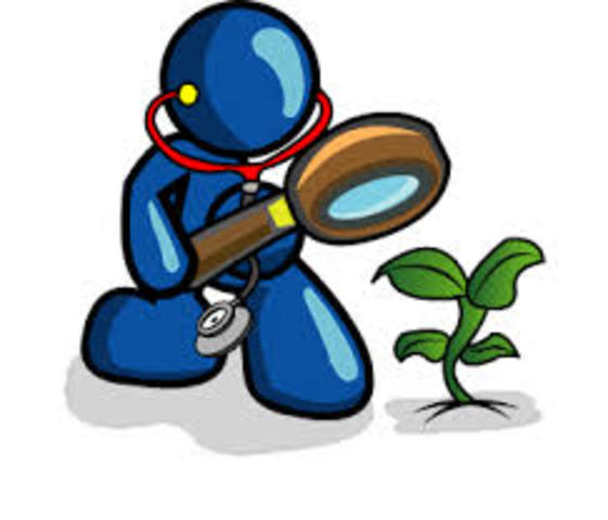 apasionados por la investigacion