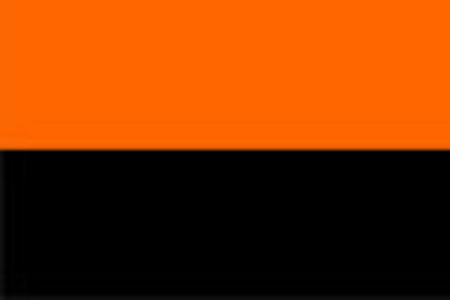 COLEGIO SAN BUENAVENTURA