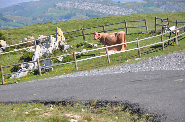 El Paso de la Vaca Pasiega I