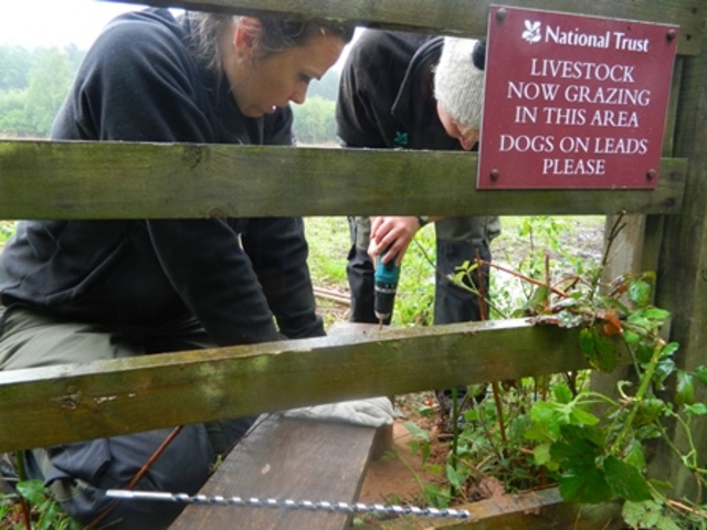 Stile creation (Hollie & Dan)