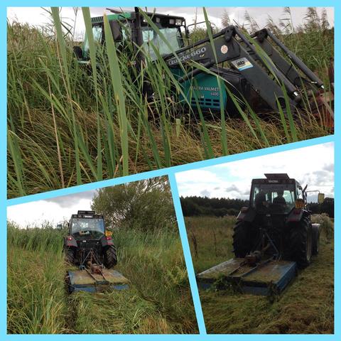 Jungle- Busting the Wetlands (Gareth Jones & Dan Booth)