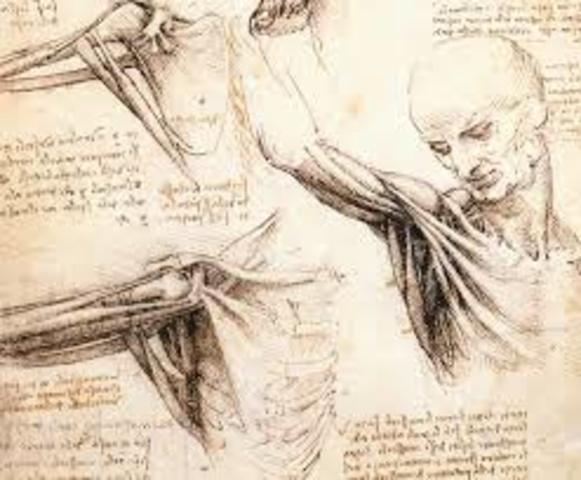 Leonardo da Vinci's humanoid robot