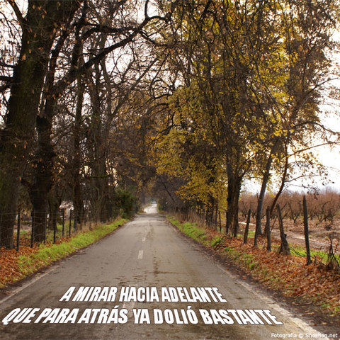 CAMINA HACIA EL FUTURO