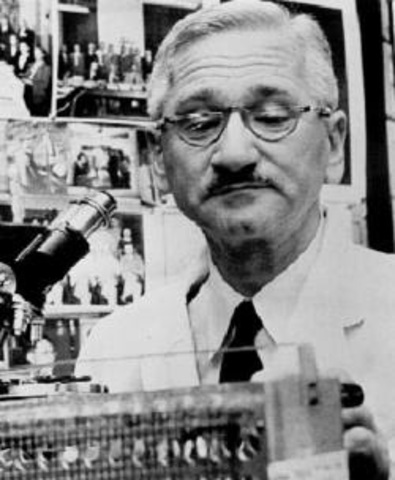 Albert Sabin 1954