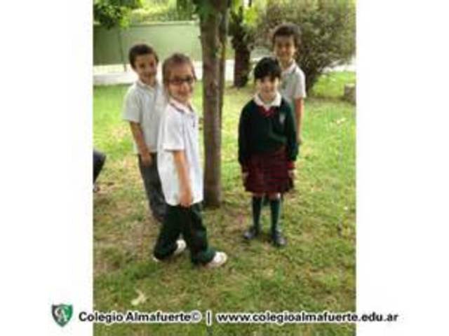 Creación de la Dirección General de la Educación Inicial.