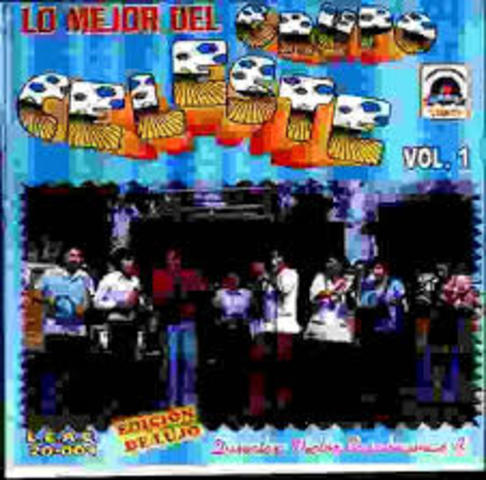 Nuevo Éxito Material "La Gaviota"