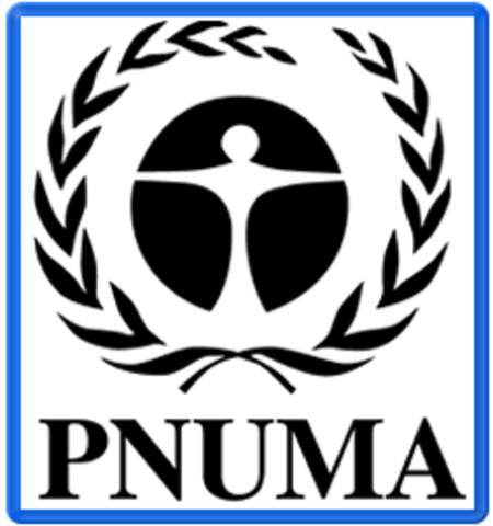 PROGRAMA DE LAS NACIONES UNIDAS