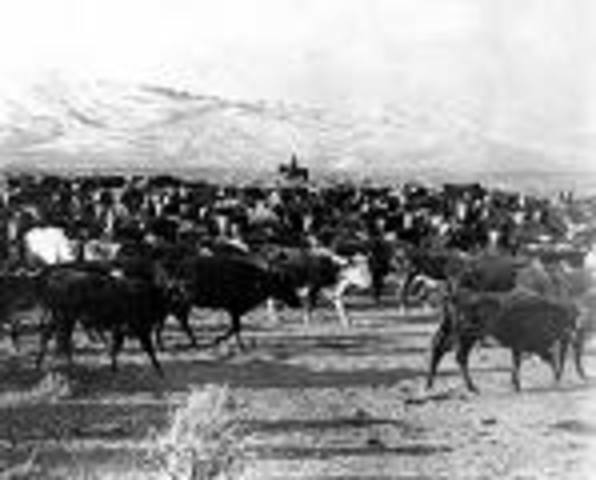 Cattle Drives
