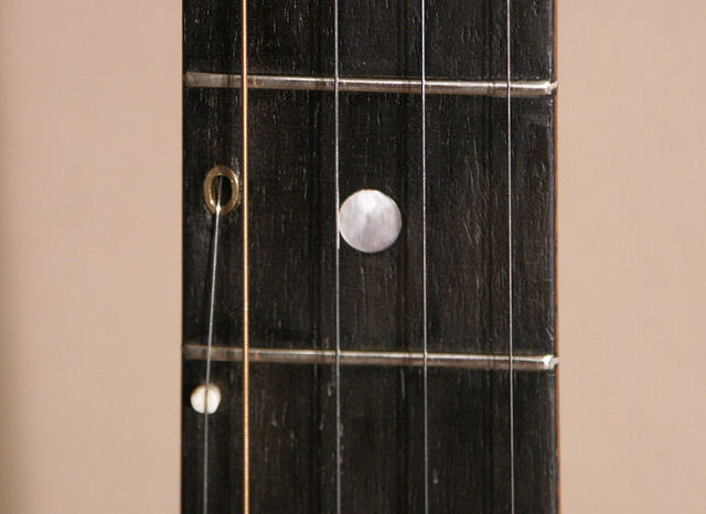 the most important development in the banjo's history