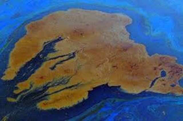 Oil spill happens in the Gulf of Mexico