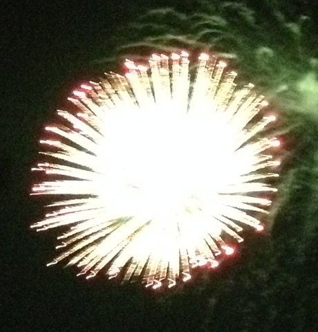 First July 4th with wife