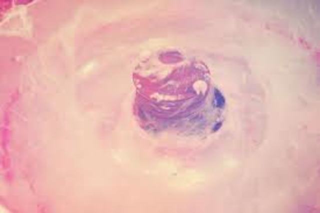 Cotton candy was first recorded in Europe in the 18th century.