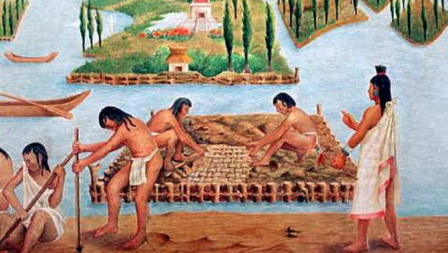 ORGANIZACIÓN AGRARIA DE LOS MAYAS