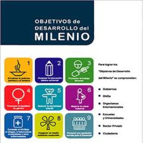 CUMBRE DEL MILENIO DE LAS NACIONES UNIDAS NUEVA YOUR