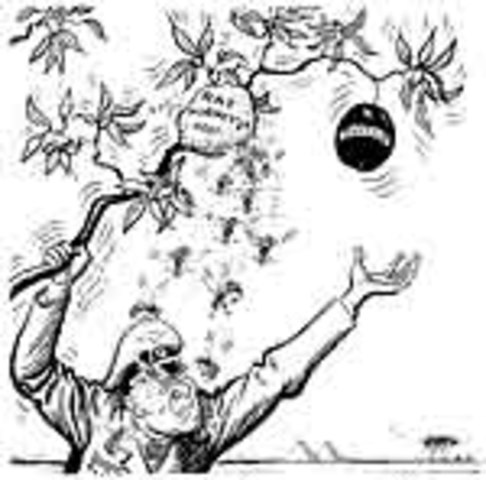 The North African Front