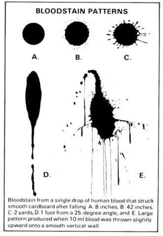 Blood Splatter Evidence
