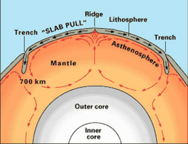 Cornell Notes - Tectonic Plates and Convection Currents