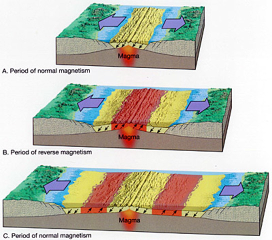 Paleomagnetism: Evidence of plate tectonics
