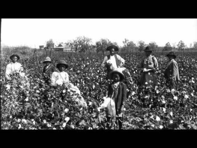 Non Commercial recordings of field hollers