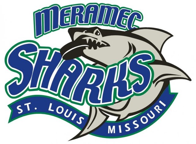 When I started playing hockey