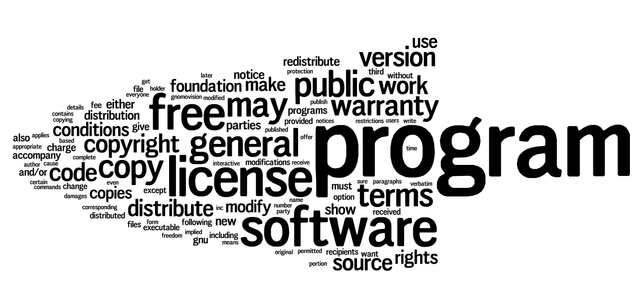 Publicó el núcleo Linux(GNU GPL)