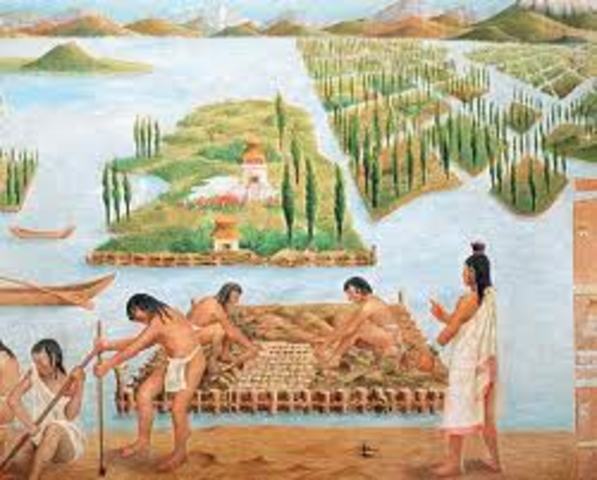 Los aztecas en México cosechan algas de los lagos como una fuente de alimento.