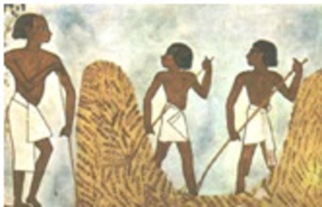 Incios de la Biotecnología 7000 a.C.