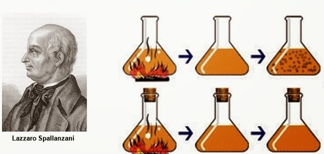 Lazaro Spallanzani