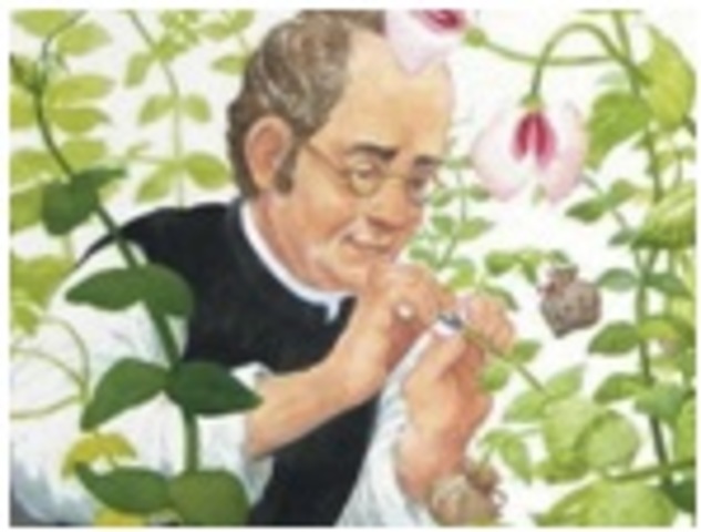 Gregor Mendel