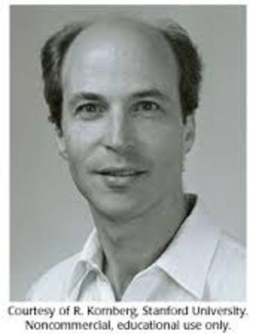 Arthur Kornberg