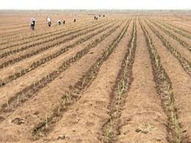 (1400 a de J.C.) Ingenieria Griega