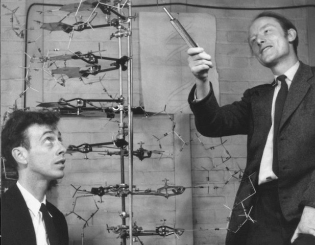 James Watson y Francis Crick
