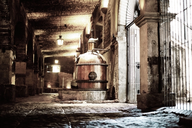 Nacimiento del Tequila "Herradura"