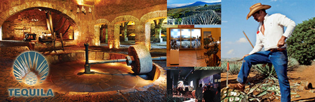 Modernización de la industria Tequilera