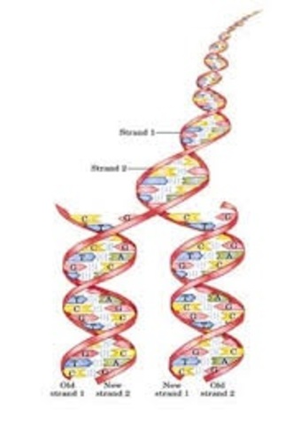 Walter Gilbert, Allan Maxam y Frederick Sanger