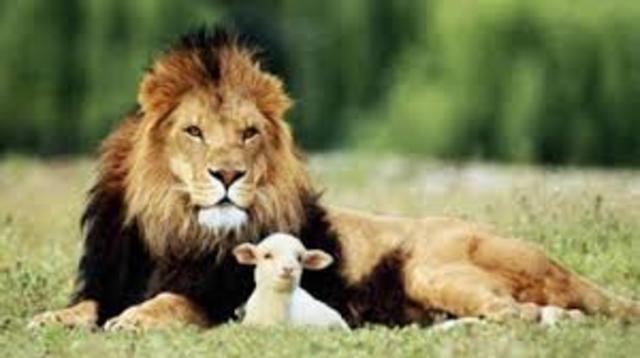 30 D.C. Jesús hablaba en parábolas