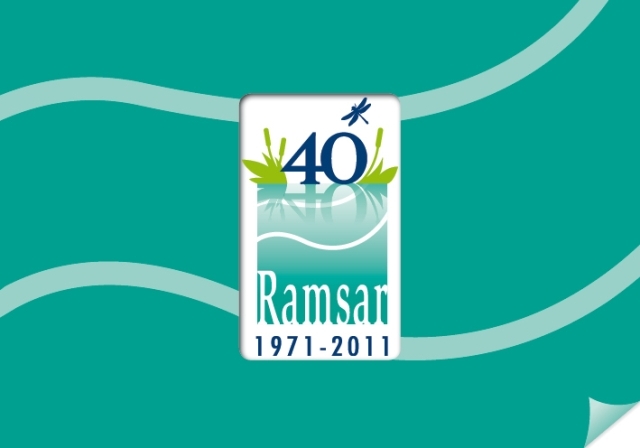 Convecion de Los humedales