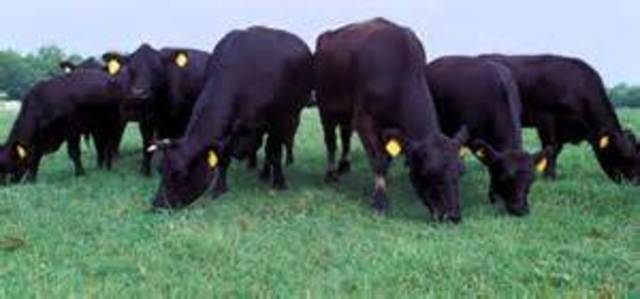 Return to carribean island of Hispaniola