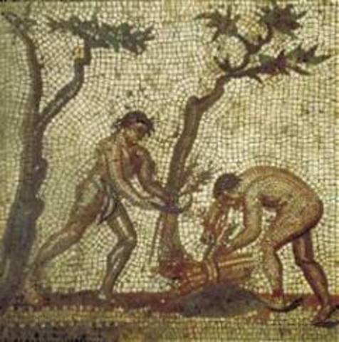 IMPERIO ROMANO: LEY DE MARCUS